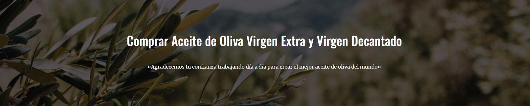 AOVE Españoleo